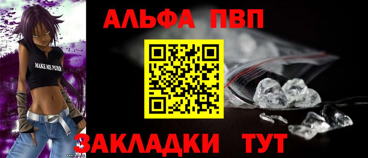 Alfa_PVP СК КРИС Луга
