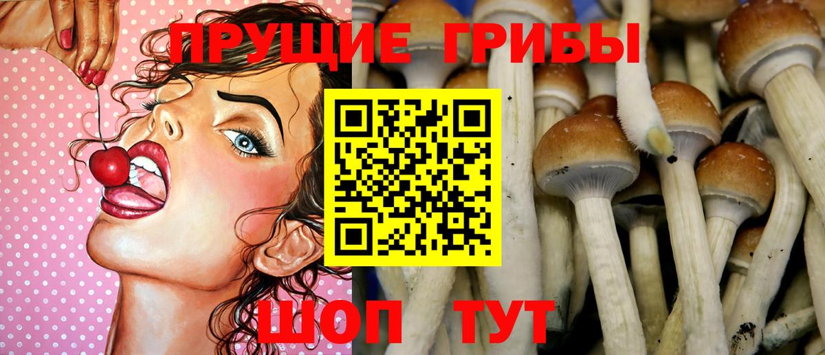 Псилоцибиновые грибы GOLDEN TEACHER  Вход с VPN  Луга  Галлюциногенные грибы Cubensis 